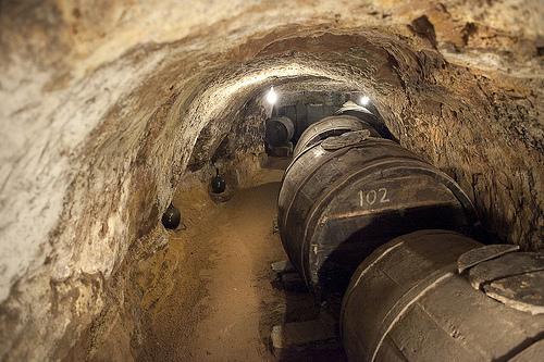 ホテルCasa Rural La Prensa De Vino サン・エステバン・デ・ゴルマス 部屋 写真